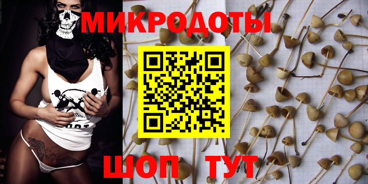 Псилоцибиновые грибы Cubensis  Вход с VPN  Кстово 